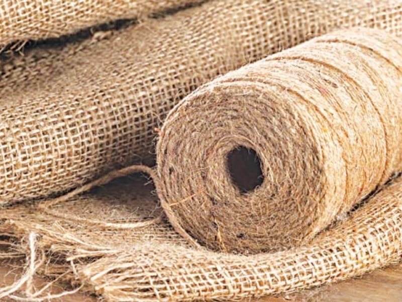 vải đay